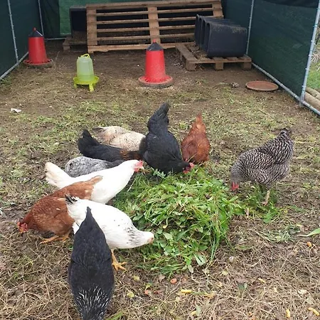 Sondela Self Catering * São Martinho do Porto