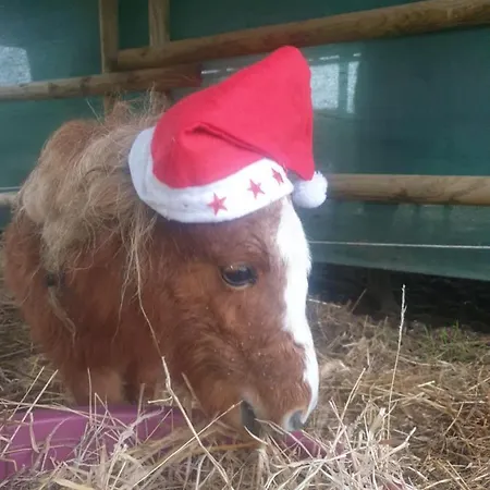 Sondela Self Catering Apartment