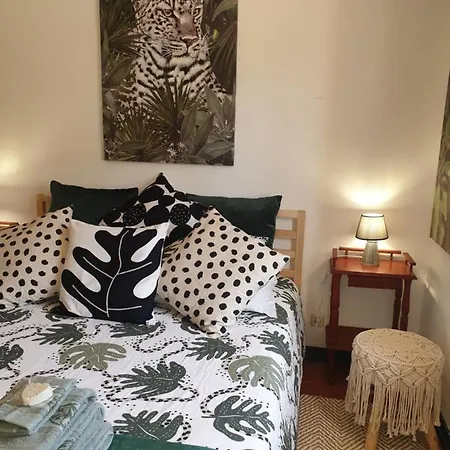 Sondela Self Catering