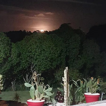 Apartment Sondela Self Catering São Martinho do Porto