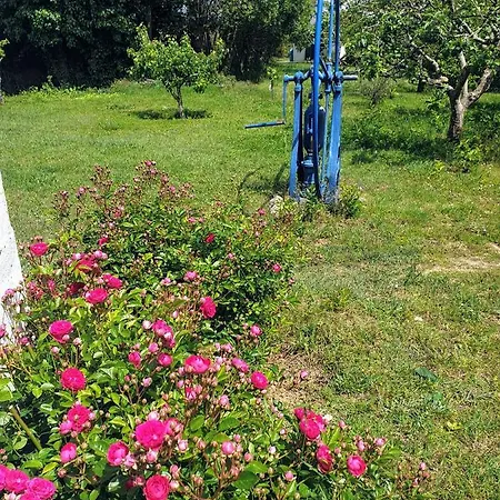 Sondela Self Catering Daire