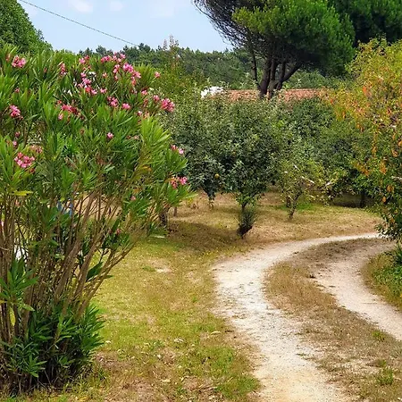 Daire Sondela Self Catering São Martinho do Porto