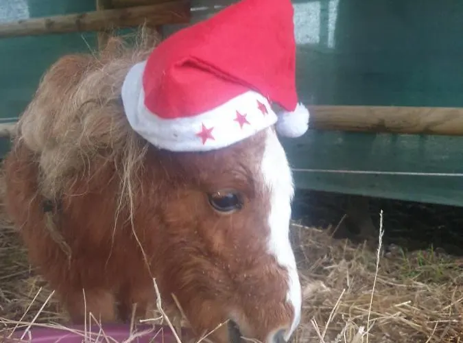 Sondela Self Catering Appartamento