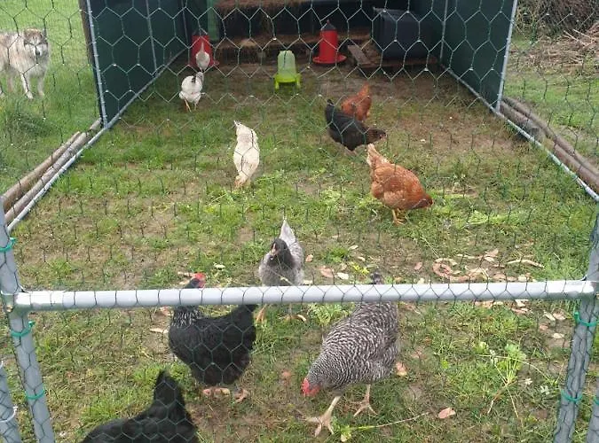 Sondela Self Catering * São Martinho do Porto