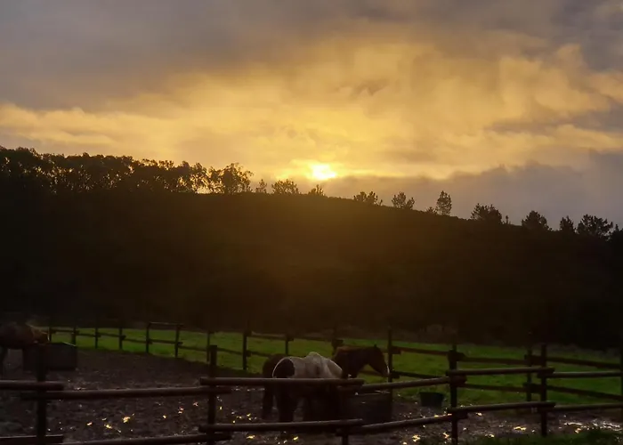 Appartamento Sondela Self Catering *