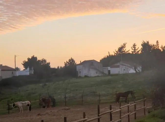 Sondela Self Catering *