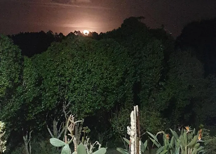 Appartamento Sondela Self Catering São Martinho do Porto