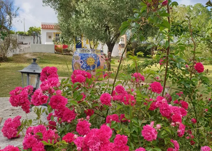 Sondela Self Catering